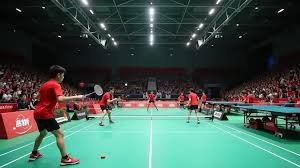 深圳青年人官宣：亚泰孙沁涵+梅州外援罗德里格加盟球队